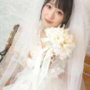 ヒメ日記 2026/01/27 09:12 投稿 てんか お姉京都