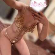 ヒメ日記 2026/02/12 09:02 投稿 てんか お姉京都