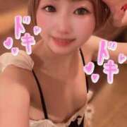 ヒメ日記 2026/02/16 00:18 投稿 てんか お姉京都