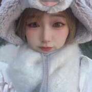 ヒメ日記 2026/02/21 08:02 投稿 てんか お姉京都