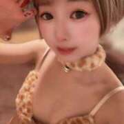 ヒメ日記 2026/02/26 07:22 投稿 てんか お姉京都