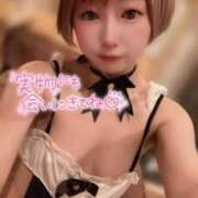 てんか 春風いたずら🌸 お姉京都