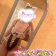 てんか 🐳 お姉京都