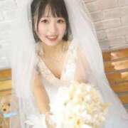 ヒメ日記 2026/03/12 15:42 投稿 てんか お姉京都