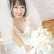 ヒメ日記 2026/03/13 15:12 投稿 てんか お姉京都