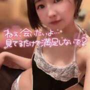 ヒメ日記 2026/03/16 07:02 投稿 てんか お姉京都