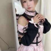 ヒメ日記 2026/03/20 17:09 投稿 てんか お姉京都