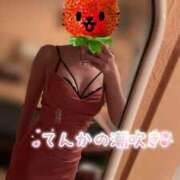 ヒメ日記 2026/03/25 12:03 投稿 てんか お姉京都