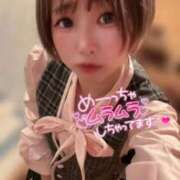 ヒメ日記 2026/03/26 09:02 投稿 てんか お姉京都