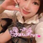 ヒメ日記 2026/03/29 09:02 投稿 てんか お姉京都