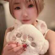 ヒメ日記 2026/03/29 15:02 投稿 てんか お姉京都