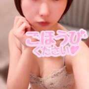 ヒメ日記 2026/03/30 00:02 投稿 てんか お姉京都