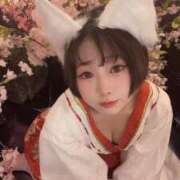 ヒメ日記 2026/04/11 08:52 投稿 てんか お姉京都