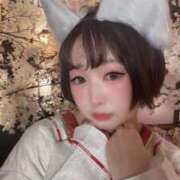 ヒメ日記 2026/04/16 19:12 投稿 てんか お姉京都