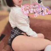 ヒメ日記 2026/04/19 06:30 投稿 てんか お姉京都