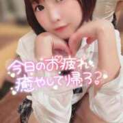 ヒメ日記 2026/04/24 07:02 投稿 てんか お姉京都