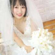 ヒメ日記 2026/04/30 17:12 投稿 てんか お姉京都