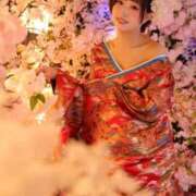 ヒメ日記 2026/05/02 15:36 投稿 てんか お姉京都