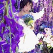 ヒメ日記 2026/05/06 19:12 投稿 てんか お姉京都