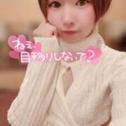 ヒメ日記 2026/05/31 09:12 投稿 てんか お姉京都