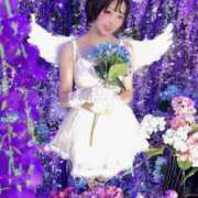 ヒメ日記 2026/06/07 19:02 投稿 てんか お姉京都