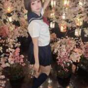 ヒメ日記 2026/06/17 19:22 投稿 てんか お姉京都
