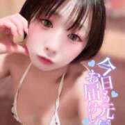ヒメ日記 2026/06/19 09:12 投稿 てんか お姉京都