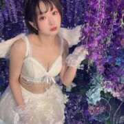 ヒメ日記 2026/06/25 09:35 投稿 てんか お姉京都