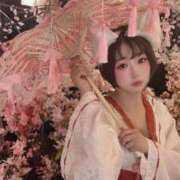 ヒメ日記 2026/07/03 17:02 投稿 てんか お姉京都
