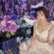 ヒメ日記 2026/07/04 11:02 投稿 てんか お姉京都