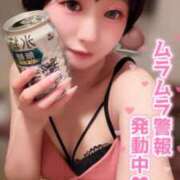 ヒメ日記 2026/07/14 09:12 投稿 てんか お姉京都