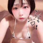 ヒメ日記 2026/08/04 09:02 投稿 てんか お姉京都