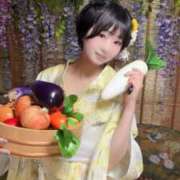 ヒメ日記 2026/08/11 19:22 投稿 てんか お姉京都