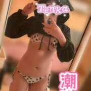 ヒメ日記 2026/08/12 13:22 投稿 てんか お姉京都