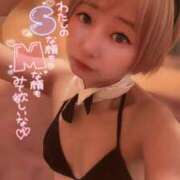 ヒメ日記 2026/08/27 06:32 投稿 てんか お姉京都