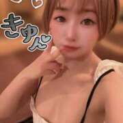 ヒメ日記 2026/09/29 07:18 投稿 てんか お姉京都