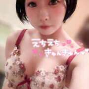 ヒメ日記 2026/10/11 09:02 投稿 てんか お姉京都