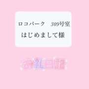 ヒメ日記 2024/06/25 16:31 投稿 ことり 茨城神栖ちゃんこ