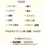 ヒメ日記 2025/01/09 14:00 投稿 ことり 茨城神栖ちゃんこ