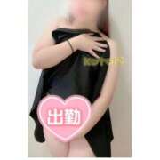 ヒメ日記 2025/01/24 14:01 投稿 ことり 茨城神栖ちゃんこ