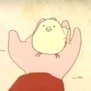 ヒメ日記 2025/03/22 12:02 投稿 ことり 茨城神栖ちゃんこ