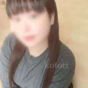 ヒメ日記 2025/04/14 14:00 投稿 ことり 茨城神栖ちゃんこ