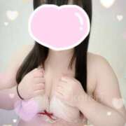 ヒメ日記 2025/04/19 08:01 投稿 ことり 茨城神栖ちゃんこ