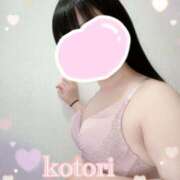 ヒメ日記 2025/04/20 10:02 投稿 ことり 茨城神栖ちゃんこ