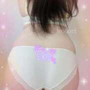 ヒメ日記 2025/05/11 17:02 投稿 ことり 茨城神栖ちゃんこ