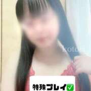 ヒメ日記 2025/05/21 12:02 投稿 ことり 茨城神栖ちゃんこ