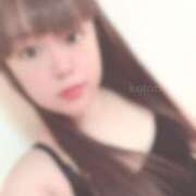 ヒメ日記 2025/06/02 14:00 投稿 ことり 茨城神栖ちゃんこ