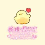 ヒメ日記 2025/06/19 06:00 投稿 ことり 茨城神栖ちゃんこ