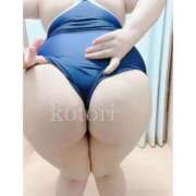 ヒメ日記 2025/06/23 11:30 投稿 ことり 茨城神栖ちゃんこ