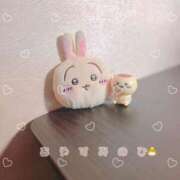 ヒメ日記 2025/06/27 11:00 投稿 ことり 茨城神栖ちゃんこ